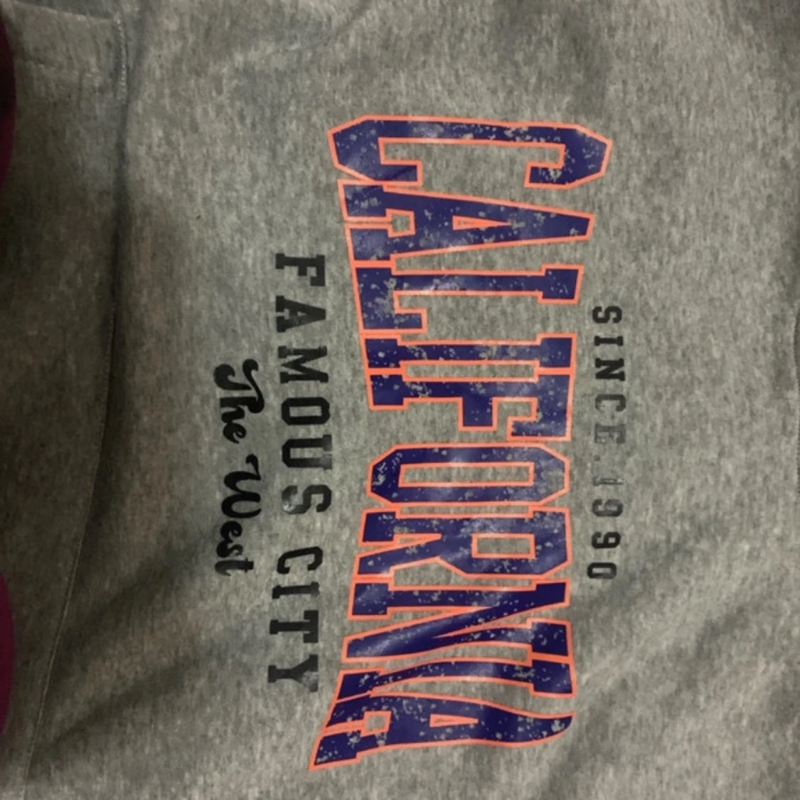 Carlifonia skön grå hoodie - 90