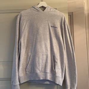 Grå hoodie från Axel Arigato - Säljer en stilren grå hoodie från Axel Arigato med blå text på bröstet och ryggen. Tröjan har en klassisk design med känguruficka och ribbade muddar. Perfekt för en avslappnad look.