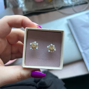 Lily & rose örhängen  - Helt nya, oanvända örhängen! 💕