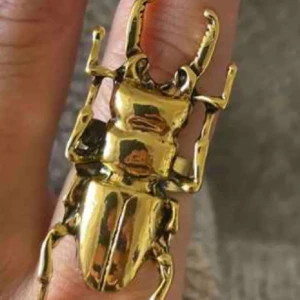 Ring ekoxe - Superfin guldig ring med ekoxe!! Endast provad, den är justerbar🩷