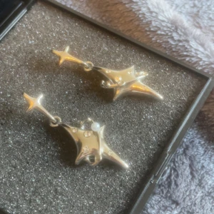 Stjärna örhängen  - Stjärnörhängern i silver! Några små pärlor borta dock