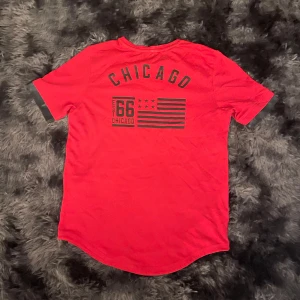 Chicago bulls t-shirt - Omg Micheal Jordan hade på sig den här tröjan när han droppa 30 poäng på Space Jam‼️🤞🏾