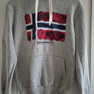 Grå hoodie från Geo Norway - Säljer en grå hoodie från Geo Norway med en färgglad tryckdetalj på framsidan i rött och blått. Tröjan har en stor ficka framtill och vita snören vid huvan. Perfekt för en avslappnad stil.