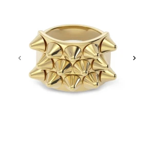 Edblad rimg - Guldig Edblad ring  Strl 19.50 använd fåtal ggr NYPRIS: 399