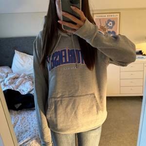 Viktor Leksell merch hoodie. Storlek M. Helt ny utan prislapp.