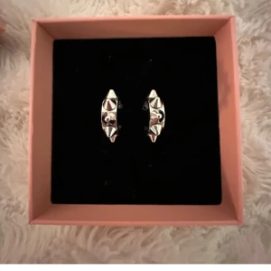 Edblad örhängen - Coola silvriga örhängen i form av små ringar med spetsiga nitar. Använd få gångar. Mycket bra i skick som helt nya. Nypris 399