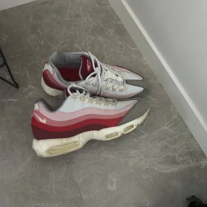 Air max 95 anatomy of air - Använd några gånger, men kändes för små. Är storlek 46 men dem skulle även passa storlek 45. Helt stilrena skor perfekt för vita/beiga outfits.