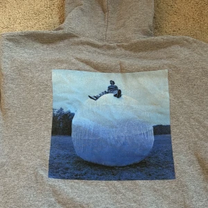 Hoodie - Harry Styles merch i storlek m, passar även xs/s om man vill ha den lite oversized. Knappt använd ❤️