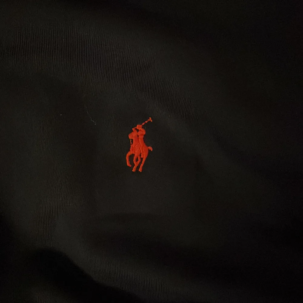 Säljer en Ralph Lauren zipper i marinblå med rött emblem. Buren ett fåtal gånger, säljer för den ej kommer till användning längre. Skriv vid minsta fråga. Storlek L. Hoodies.