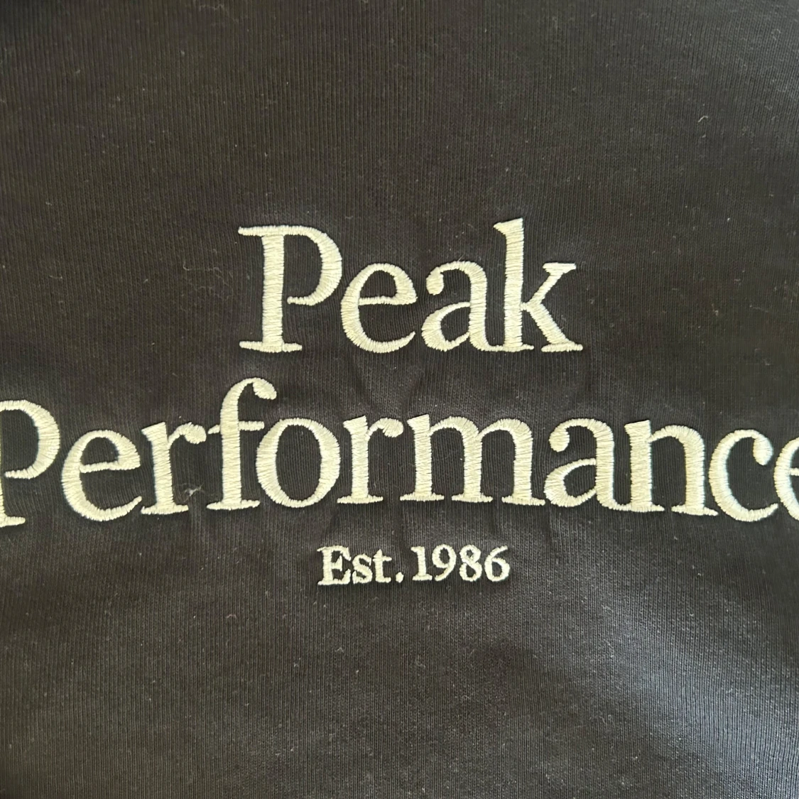 Peak Performance hoodie - 1