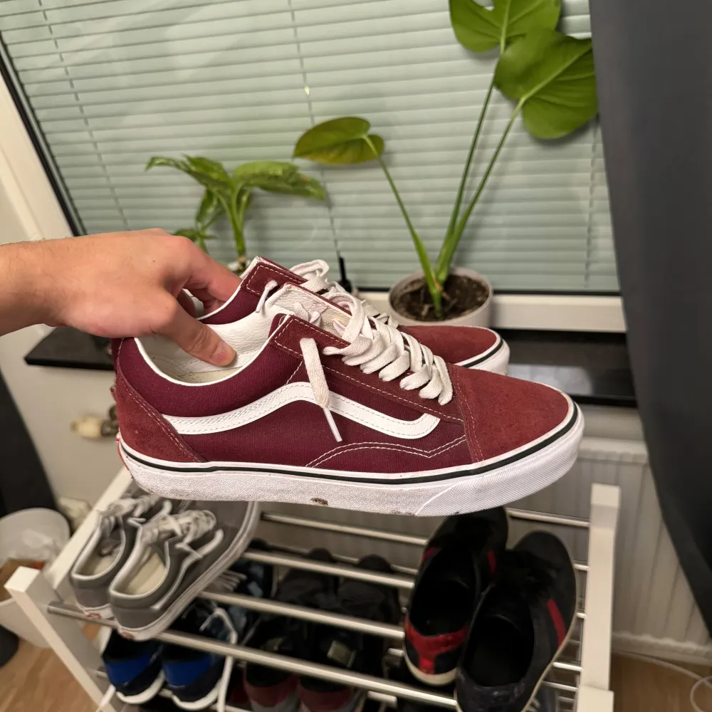 Säljer ett par snygga vinröda Vans sneakers i bra skick. De har den klassiska vita sidosymbolen och vita snören.. Skor.