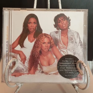 Destinys child - Survivor 