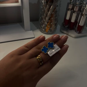 Örhängen  - Finns i olika färger 