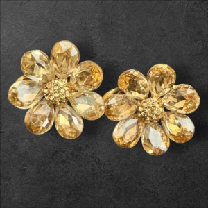 Earrings - Worn only once 