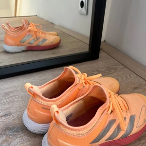 Löpar skor  - Jätte fin nya skor som aldrig är använda köpta för 1500 ungefär. Skriv för fler bilder eller frågor 