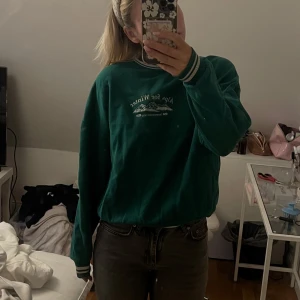 Sweatshirt  - Bra skick och normal i stoleken 