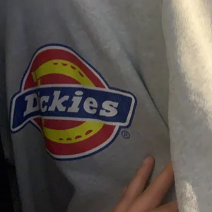 Dickies  - Aldrig använd 