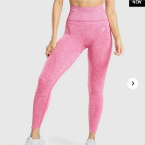Gymshark vital Rise seamless - Säljer mina gymshark tights då jag inte fått så mycke användning av dem, de är köpte här på Plick men jag fick de i nyskick! Nypris 600kr och är helt slutsålda på hemsidan.