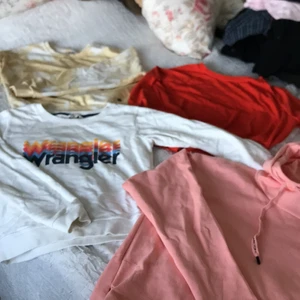 Olika sweatshirts/hoddies - Olika skitsnygga sweatshirts/hoddies ifrån lite olika märken bl.a wrangler, pull&bear och bikbok!❤️💗💗 skriv om ni är intresserad av någon så diskuterar vi pris på just den🥰 alla är i xs💗 jättebra skick på alla!😊