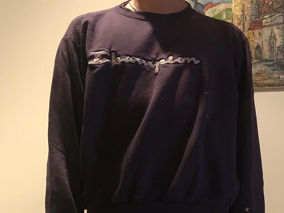 Champion sweatshirt - 91