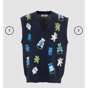 Michael Cera Sweater Vest  - Super fin stickad väst från Cider. Den är helt ny med lappen kvar. Passar perfekt till ett par jeans, köpt för 275 sek plus frakt och tull. 