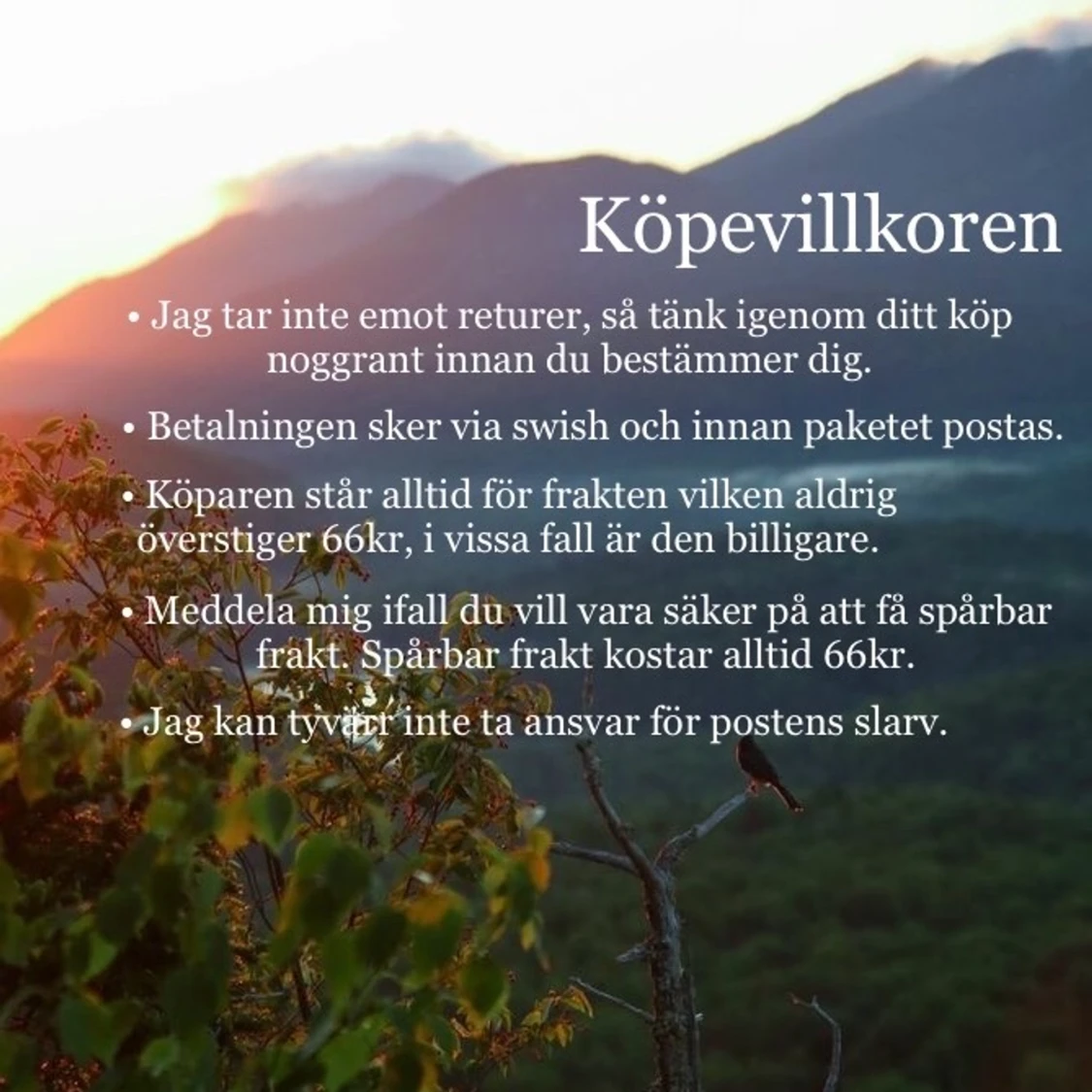 AIMN’ träningstights - 91