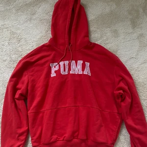 Hoodie - Säljer min sköna puma hoodie! Den är som gott som ny då den inte kommit till användning så mycket❤️ Skriv om du har någon fråga eller vill se tydligare bild ❣️