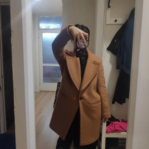 Zara coat  - 54% wool, 30%polyester,16%viscosa