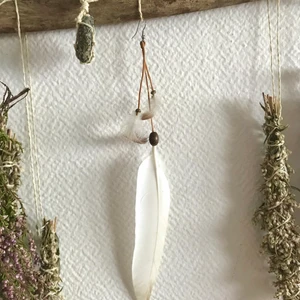 Handgjort fjäderörhänge - Handmade feather earring 🪶 Feathers from swedish birds, picked with care and love humanely from the ground and then disinfected for your safety. Cruelty free. All earrings are one of a kind! 🦚