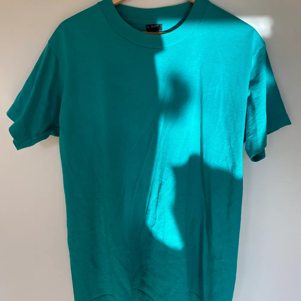 T-shirt köpt secondhand i en grönaktig/blå färg med coolt tryck på ryggen i storlek L. Den första bilden är alltså på tröjans rygg och inte framsidan! Den sitter mer som en oversized M än vad den gör L. Aldrig använd. Frakt tillkommer.. T-shirts.