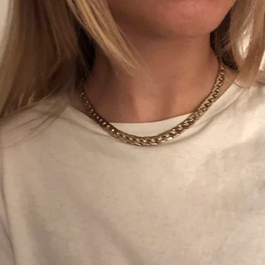 halsband - asfint halsband som nt kommer till användning. Den har förlorat lite färg(se bild 3) men det är inget som syns när halsbandet är på. 
