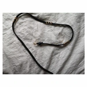 Bälte med gulddetaljer - 100 cm bälte. Fejkskin, guld detaljer. Lite sliten vid hålen men sysn ej när man har på sig det. 