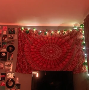 vägg tapestry - helt oöppnad, råkade köpa 2 st. skriv privat för fler bilder