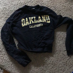 Sweatshirt  - Snygg sweatshirt från hm, inte kommit så mycket till användning på senast, ändå bra skick. 75 + frakt 