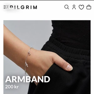 Armband  - Helt nytt passade inte så säljer vidare den🌸den kostar 299 för ny pris men jag vill bara ha 80kr för den 🌸 frakten räknas in i det priset 🌸