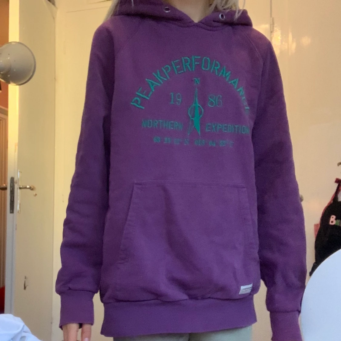 Peak performance hoodie - 90