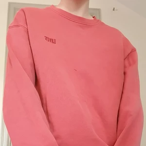 Levi's sweatshirt - I bra skick, (det är en tråd på bilden som inte ska vara där, My bad haha)