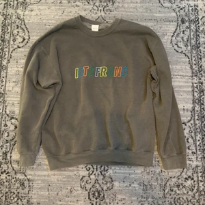 iets frans tröja - En grå iets frans tröja med färgad logo på framsidan. Köpt på Urban Outfitters förra sommaren. 🥎🌪