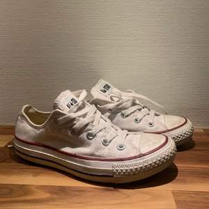 Vita converse skor i storlek 36