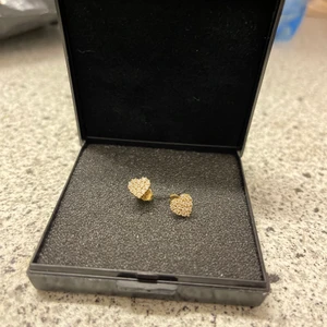 Øreringe - Chanti øreinge, nypris 1080