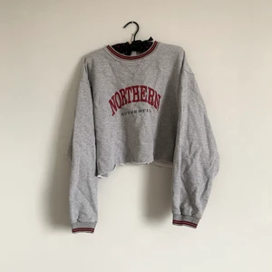 Vintage tröja - Oversize tröja köpt på Beyond Retro. Klippte den till en mer crop top tröja (syns på bilderna). Frakt inkluderat i priset!🌸🎉