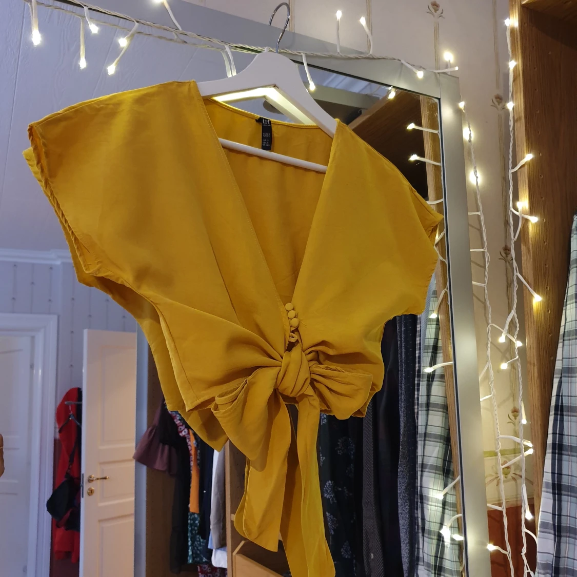 Zara crop top