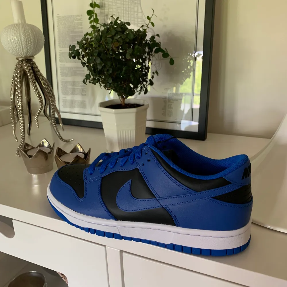 Säljer mina riktigt feta Nike Dunk Low Hyper Cobalt💙 skriv om ni har frågor!. Skor.