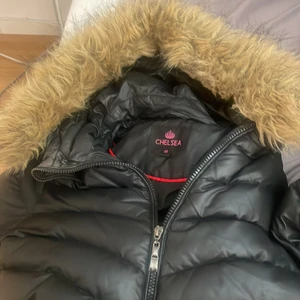 Äkta päls jacka - En äkta päls jacka i storlek 38, säls då den blivig för liten för mig men fortfarande är jätte fin, nypris 2000 säls för 800