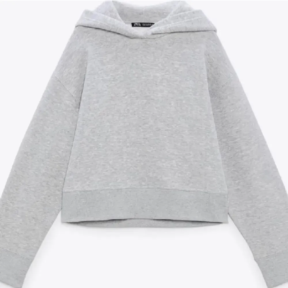 Jätteskön hoodie från zara, säljer för den inte kommer till användning längre. Använd få gånger så i fint skick!💕. Hoodies.