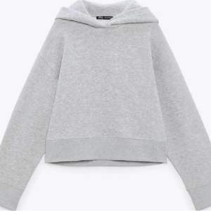 Jätteskön hoodie från zara, säljer för den inte kommer till användning längre. Använd få gånger så i fint skick!💕