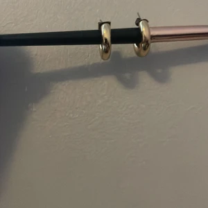 Örhänge - Säljer de här örhängena pga att jag aldrig anvönder de. Säljer för 100kr