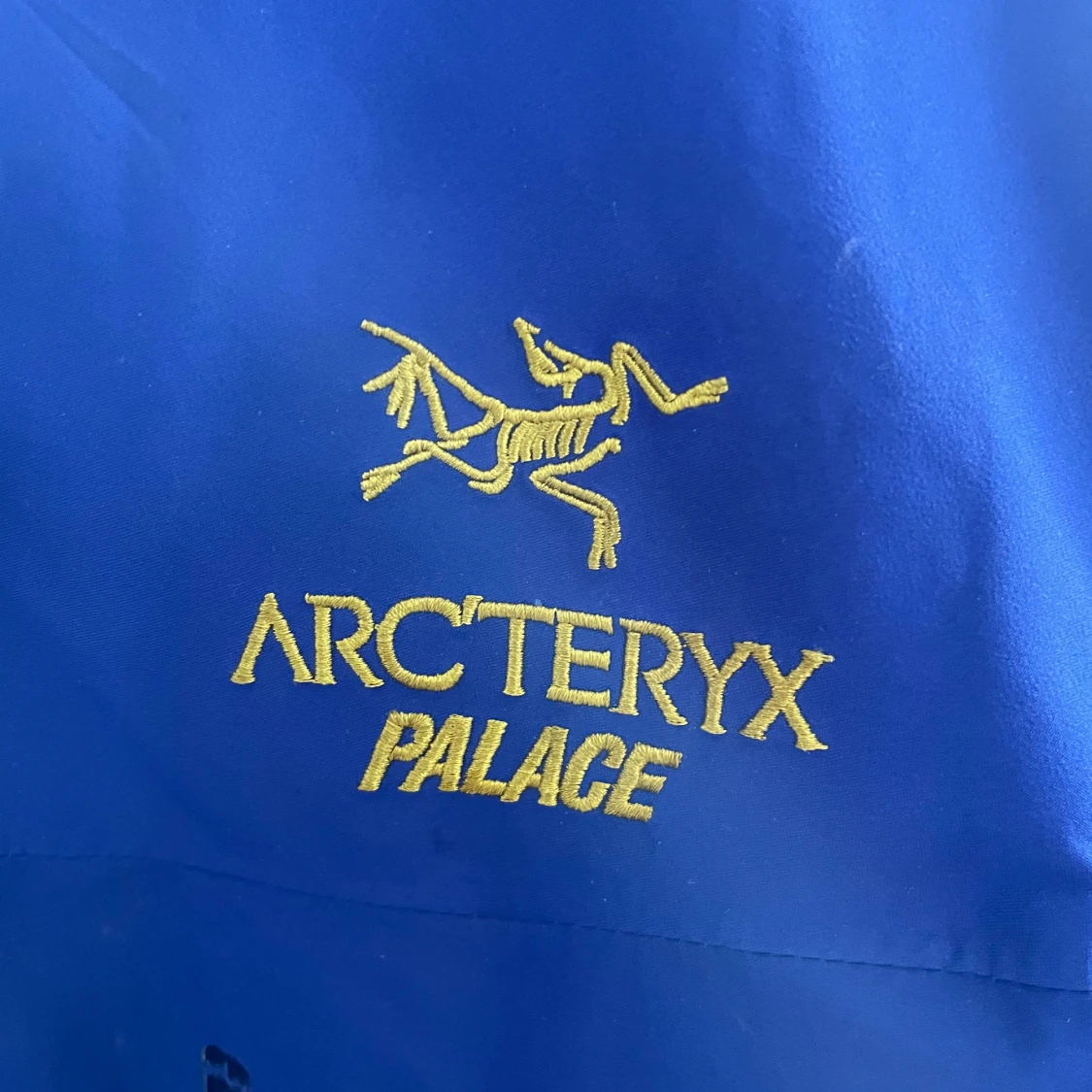 Arcteryx X Palace - 90