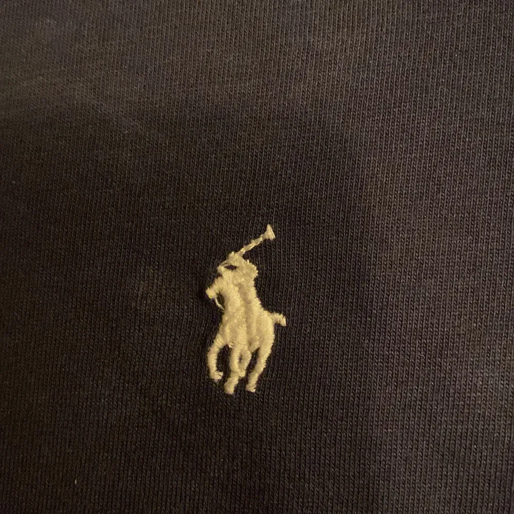 Fräsh Ralph lauren tröja i blå färg, Nypris runt 700, Tröjan är i jätte bra skick och inga defekter eller skador på tröjan. Sitter jättebra och är snygg. Bara och skriva om ni undrar något, Aktiv varje dag och skickar samma dag.. T-shirts.