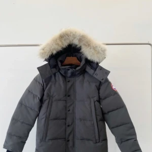  Canada goose -  Den är ny